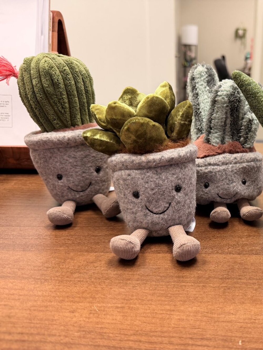 Jellycat LOT of RETIRED Succulent Plush Collection